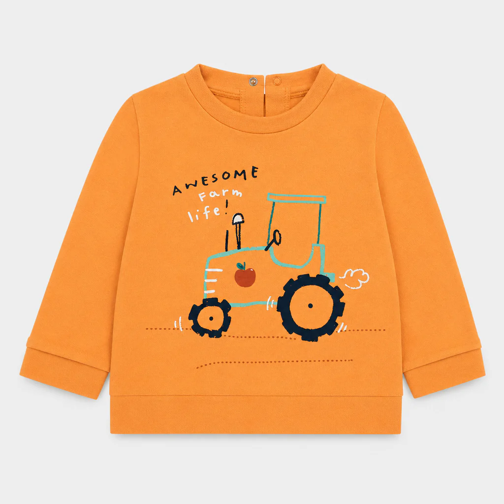 Felpa - Bambino - 60 - 65 | 3 mesi